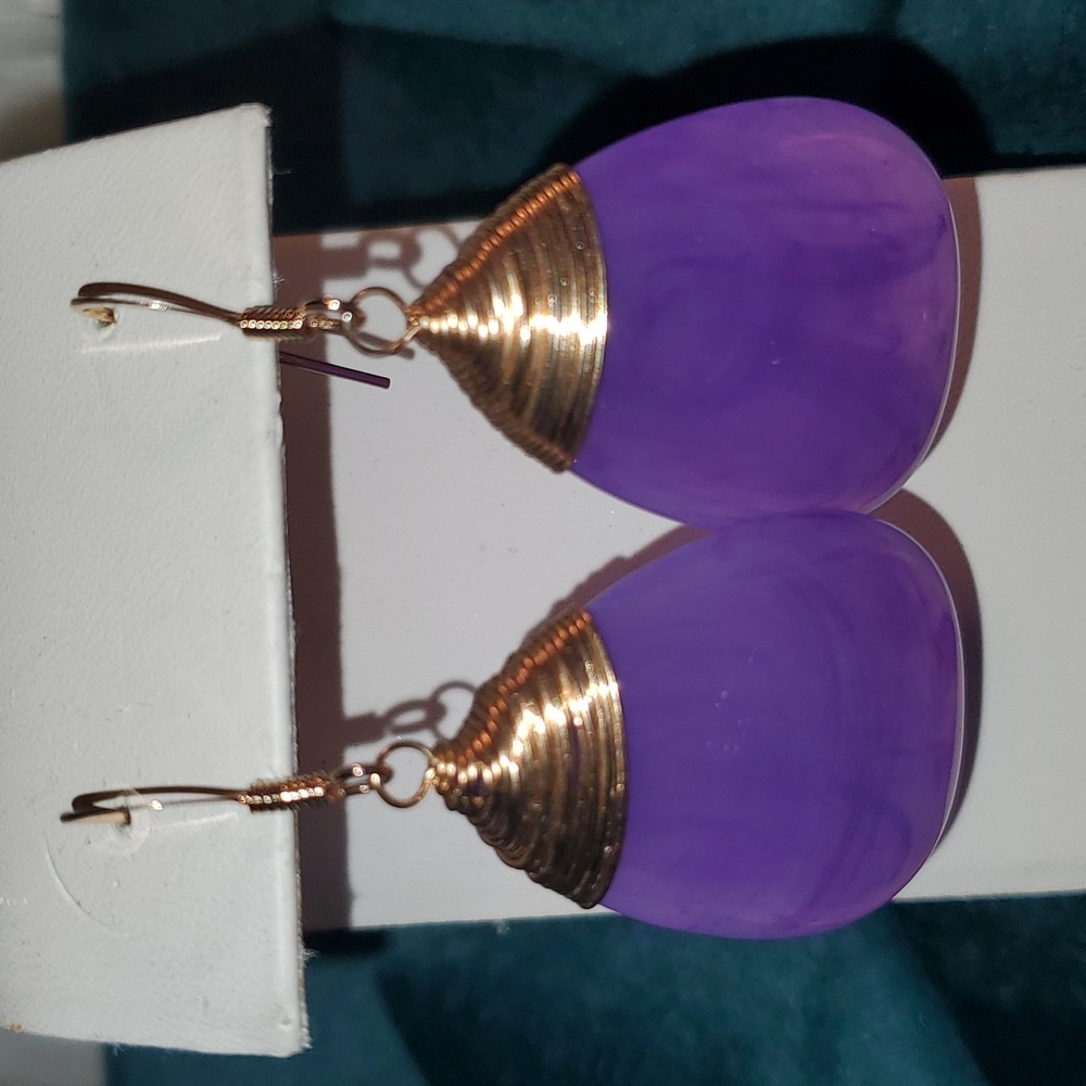 Dangle Fish Hook Earrings
